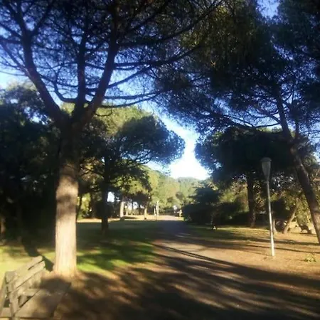 別荘 Loc Cap Phoebus, Atypique, Au Calme Dans La Pinede *
