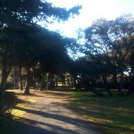 Loc Cap Phoebus, Atypique, Au Calme Dans La Pinede * Agde