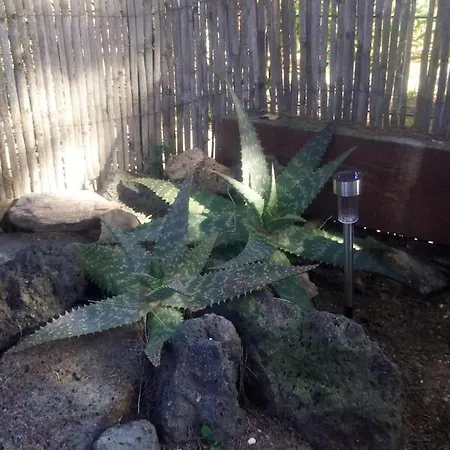 Tatil Evi Loc Cap Phoebus, Atypique, Au Calme Dans La Pinede Agde