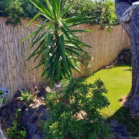Loc Cap Phoebus, Atypique, Au Calme Dans La Pinede * Agde